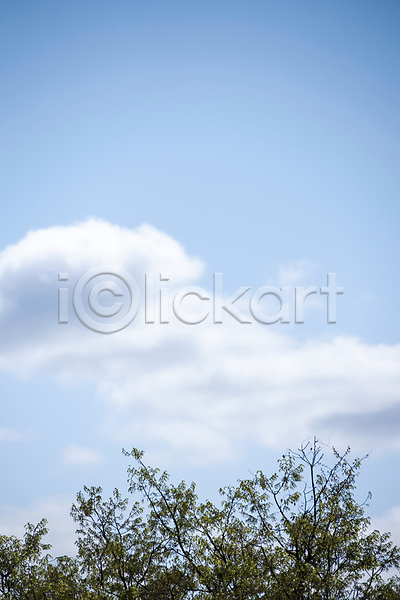 사람없음 JPG 포토 과천 구름(자연) 나무 봄풍경 야외 자연 주간 하늘