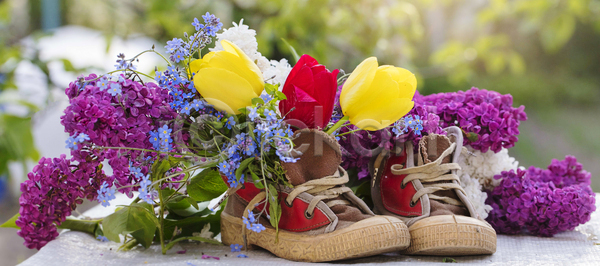 사람없음 JPG 포토 해외이미지 꽃 꽃다발 꽃무늬 꽃병 낭만 냄비 디자인 라이프스타일 라일락 목재 묘사 배너 백그라운드 벚꽃 부츠 뷰티 수확 스니커즈 식물 신발 쌍 야외 옛날 원예 원예사 유행 자연 장식 정원 초록색 컨셉 파노라마 하이킹 해외포토 화분