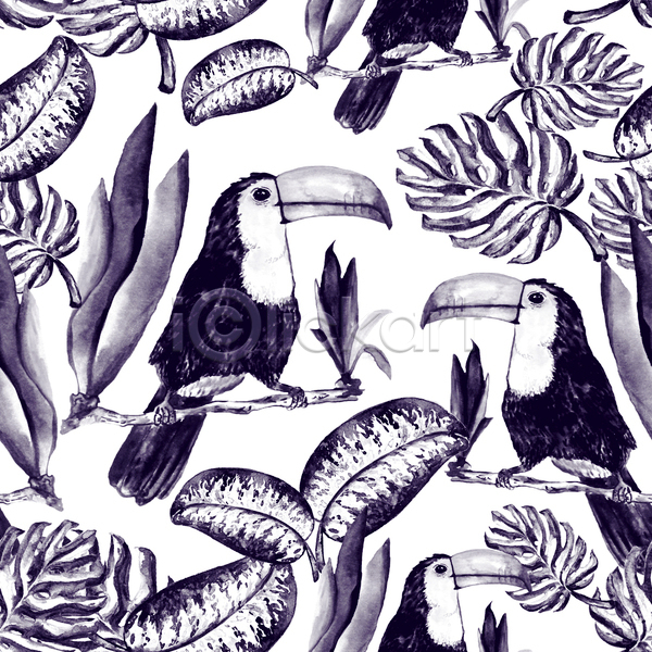 사람없음 JPG 일러스트 해외이미지 검은색 몬스테라 열대잎 토코투칸 트로피컬아트 패턴 패턴백그라운드 흰색