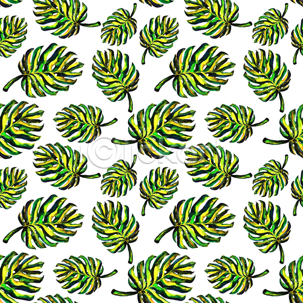 사람없음 JPG 포토 해외이미지 디자인 몬스테라 백그라운드 패턴 패턴백그라운드