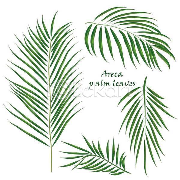 사람없음 EPS 일러스트 해외이미지 세트 야자수잎 엘리먼트 열대잎 초록색 트로피컬아트