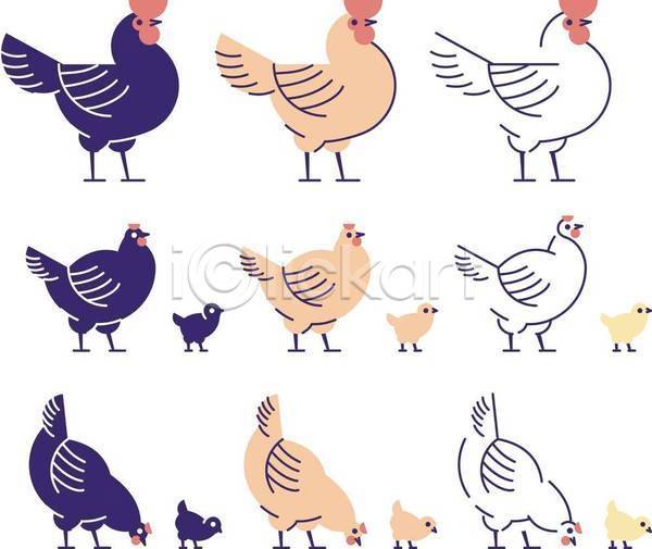 사람없음 EPS 일러스트 해외이미지 가축 닭 디자인 병아리 수탉 암탉 엘리먼트 여러마리 조류 플랫