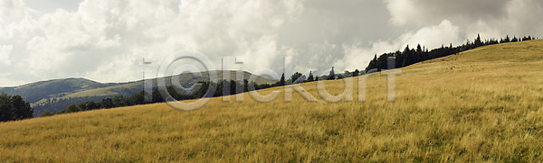 사람없음 JPG 포토 해외이미지 가문비나무 구름 나무 맑음 목재 밭 백그라운드 봄 산 산악지대 생태학 소나무 숲 야외 언덕 여름 여행 오픈 우크라이나 유럽 자연 장면 전나무 절정 초록색 초원 파노라마 파란색 풍경 하늘 해외202004 해외포토 햇빛 환경 휴가