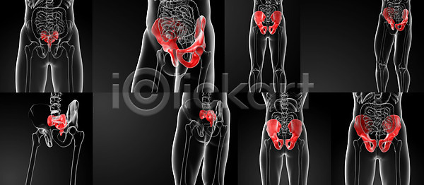 고통 남자 사람 사람없음 여자 3D JPG 포토 해외이미지 갈비뼈 골격 궤 내부 만들기 무릎 뼈 새장 생물학 어깨 엉덩이 엑스레이 척추 팔 피부 해골모형 해부 해외202004 해외포토