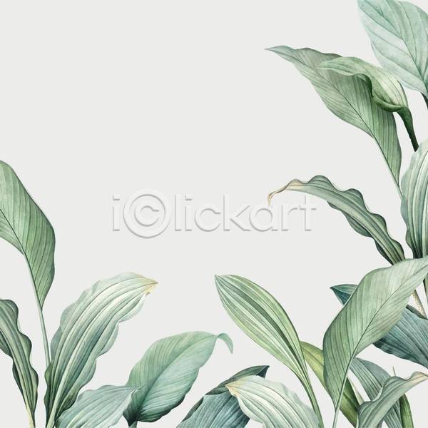 감성 분위기 사람없음 EPS 일러스트 해외이미지 백그라운드 보테니컬아트 손그림 잎 초록색 회색