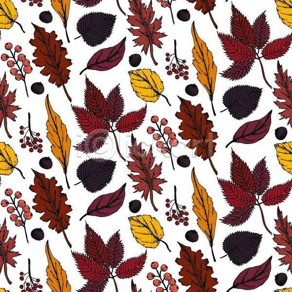사람없음 EPS 일러스트 해외이미지 가을(계절) 나뭇잎 낙엽 단풍 빨간색 열매 패턴 패턴백그라운드 흰색