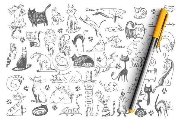 사람없음 EPS 일러스트 해외이미지 고양이 반려동물 스케치 스타일 펜