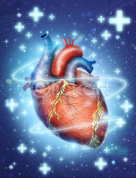 사람없음 PSD 일러스트 건강 건강관리 빛 심장 심장질환 십자모양 의학 치료 파란색 혈관 회복