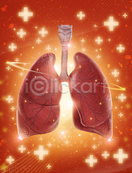 사람없음 PSD 일러스트 건강 건강관리 빛 빨간색 십자모양 의학 치료 허파 호흡기관 회복