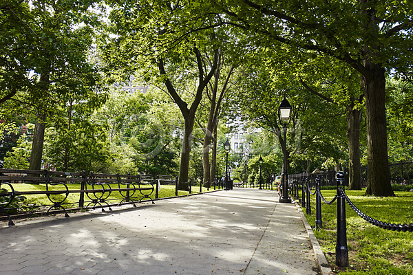 사람없음 JPG 포토 가로등 공원 공원길 나무 뉴욕 벤치 산책로 야외 잔디 주간 한가함 해외풍경