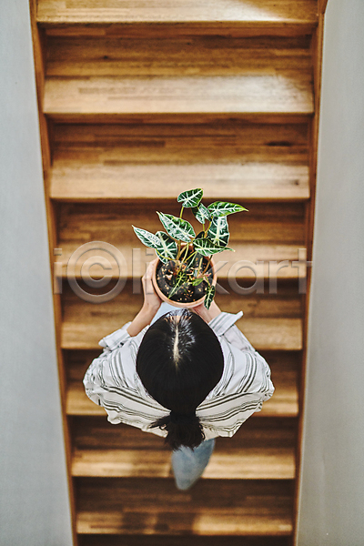 20대 성인 성인여자한명만 여자 한국인 한명 JPG 뒷모습 포토 하이앵글 계단 들기 실내 오르기 운반 원예 원예식물 전신 취미 플랜테리어 홈가드닝 화분 화초