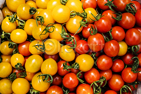 사람없음 JPG 포토 가득함 방울토마토 식재료 실내 완주(지역) 전라북도 토마토 특산물