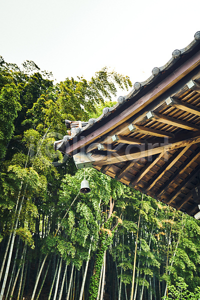사람없음 JPG 로우앵글 포토 군산 대나무 대나무숲 불교 사찰 야외 일본건축 전라북도 주간 지붕처마 풍경(경치) 풍경종 하늘