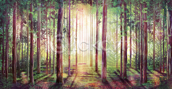 휴식 사람없음 PSD 일러스트 나무 빛 숲 숲속 자연 자연백그라운드 초록색 풍경(경치) 힐링