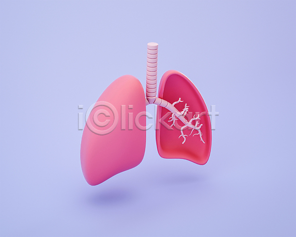 사람없음 3D PSD 디지털합성 편집이미지 3D소스 기관지 단면 모형 보라색 분홍색 장기(의학) 편집 편집소스 허파