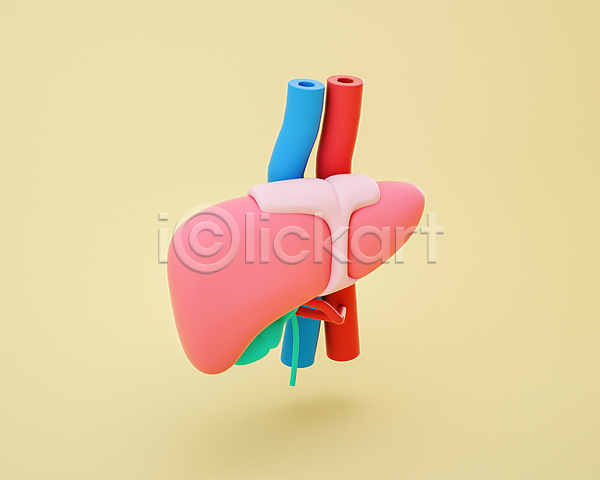 사람없음 3D PSD 디지털합성 편집이미지 3D소스 간 노란색 동맥 모형 분홍색 쓸개 장기(의학) 정맥 편집 편집소스 혈관