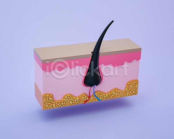 사람없음 3D PSD 디지털합성 편집이미지 3D소스 두피 머리카락 모낭 모형 보라색 장기(의학) 편집 편집소스
