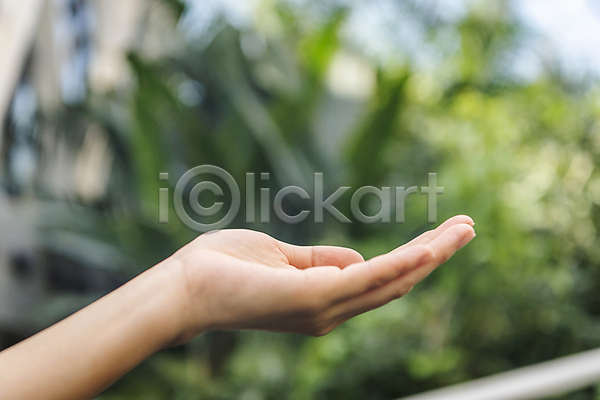 신체부위 JPG 아웃포커스 포토 ESG 모션 비즈니스 사회(공동체) 손 손들기 야외 잎 자연 주간 친환경 컨셉