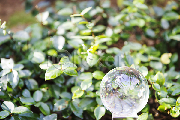 사람없음 JPG 아웃포커스 포토 ESG 비즈니스 사회(공동체) 야외 유리구슬 잎 자연 주간 친환경 풀(식물)