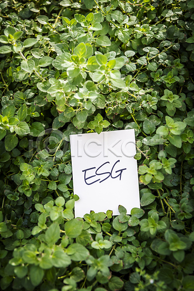 사람없음 JPG 포토 ESG 메모지 비즈니스 사회(공동체) 야외 잎 자연 주간 친환경 풀(식물)