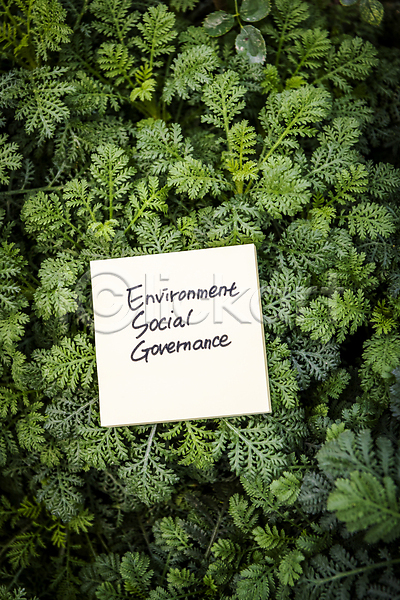 사람없음 JPG 포토 하이앵글 ESG 메모지 비즈니스 사회(공동체) 야외 잎 자연 주간 친환경 풀(식물)