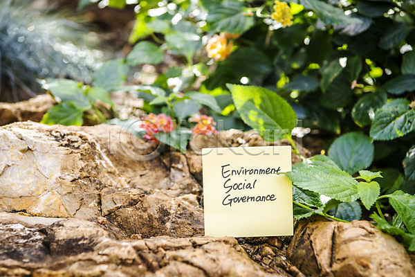 사람없음 JPG 아웃포커스 포토 ESG 바위(돌) 비즈니스 사회(공동체) 야외 잎 자연 주간 친환경 포스트잇