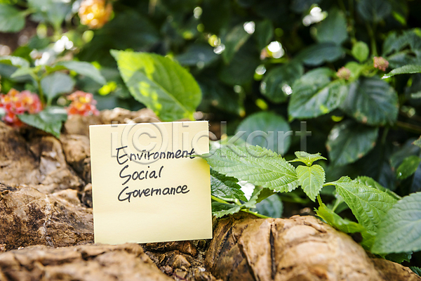 사람없음 JPG 아웃포커스 포토 ESG 바위(돌) 비즈니스 사회(공동체) 야외 잎 자연 주간 친환경 포스트잇