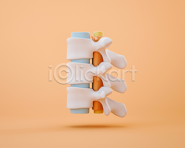 사람없음 3D 3D아이콘 PSD 디지털합성 편집이미지 3D소스 연골 주황색 척추 척추모형 척추뼈 편집 편집소스