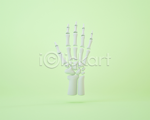 사람없음 3D 3D아이콘 PSD 디지털합성 편집이미지 3D소스 뼈 손 손가락뼈 연두색 편집 편집소스