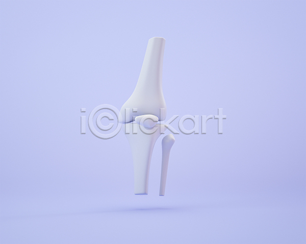 사람없음 3D 3D아이콘 PSD 디지털합성 편집이미지 3D소스 무릎 보라색 뼈 편집 편집소스