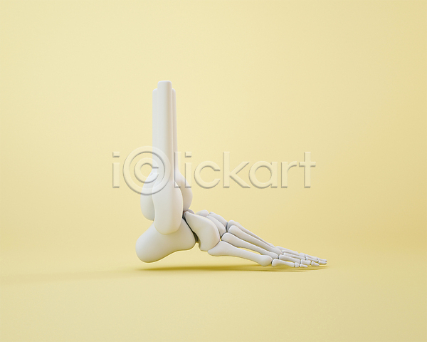 사람없음 3D 3D아이콘 PSD 디지털합성 편집이미지 3D소스 노란색 발 발가락뼈 발뼈 뼈 편집 편집소스