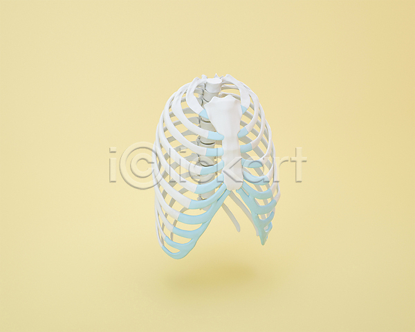 사람없음 3D 3D아이콘 PSD 디지털합성 편집이미지 3D소스 가슴뼈 갈비뼈 노란색 편집 편집소스
