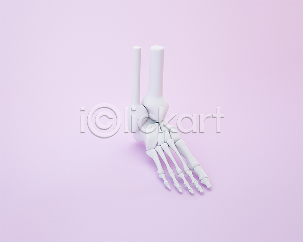 사람없음 3D 3D아이콘 PSD 디지털합성 편집이미지 3D소스 발 발가락뼈 발뼈 보라색 뼈 편집 편집소스