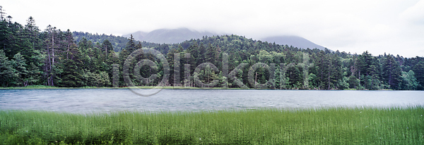 사람없음 JPG 포토 나무 물가(풍경) 산 숲 야외 자연 주간 풍경(경치) 호수