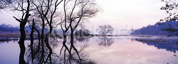 사람없음 JPG 포토 나무 반사 야외 일출 자연 주간 풍경(경치) 하늘 호수