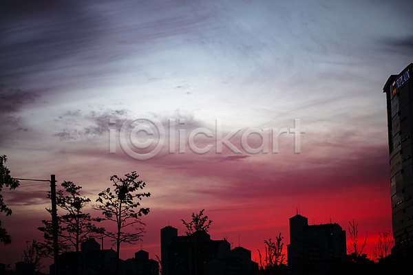 사람없음 JPG 실루엣 포토 건물 구름(자연) 나무 맑음 야간 야외 일몰 일산 풍경(경치) 하늘