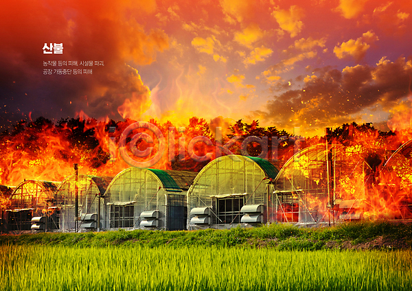 사회이슈 위험 사람없음 PSD 편집이미지 구름(자연) 노을 농가 불 비닐하우스 빨간색 산불 소각 시설 피해 화재