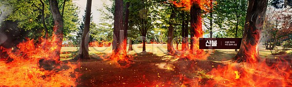 사회이슈 위험 사람없음 PSD 편집이미지 나무 불 불씨 빨간색 산 산불 소각 와이드컷 피해 화재