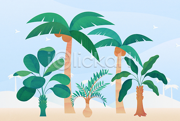 사람없음 AI(파일형식) 일러스트 사막 야자수 열대나무 열대식물 자연 조류 초록색 코코넛 코코넛나무 트로피컬아트 풍경(경치) 하늘