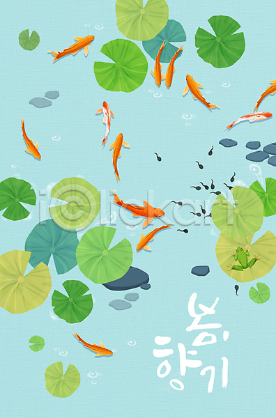사람없음 PSD 일러스트 글자캘리그라피 봄 붕어 손글씨 수영 싱그러움 여러마리 연못 연잎 올챙이 자연 청개구리 하늘색