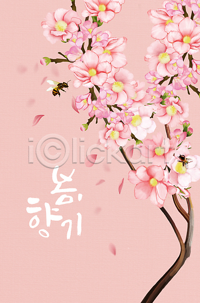 사람없음 PSD 일러스트 글자캘리그라피 꽃봉오리 꽃잎 나뭇가지 낙화 두마리 벌(곤충) 벚꽃 벚나무 봄 봄꽃 분홍색 손글씨 싱그러움