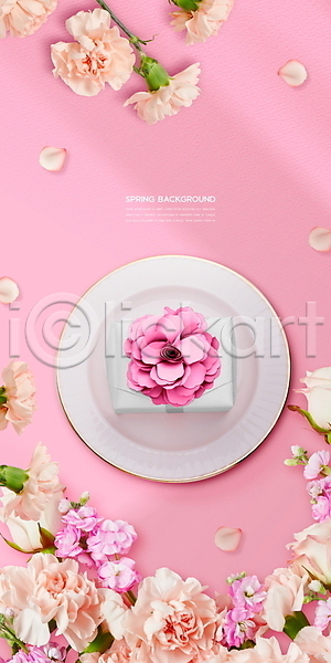 사람없음 PSD 편집이미지 꽃잎 봄 봄꽃 봄배경 분홍색 상자 선물상자 접시 카네이션