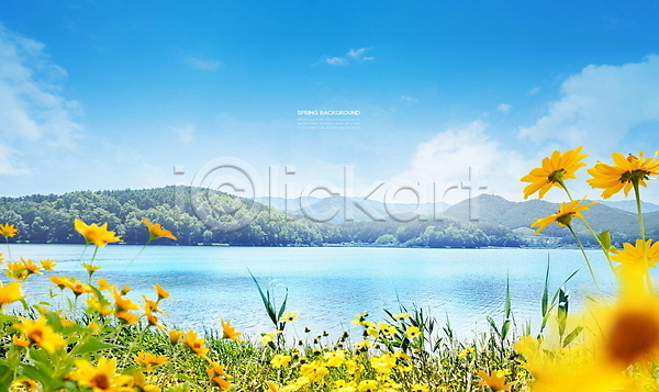 사람없음 PSD 편집이미지 구름(자연) 꽃 꽃밭 맑음 봄 봄배경 봄풍경 자연 파란색 하늘 호수