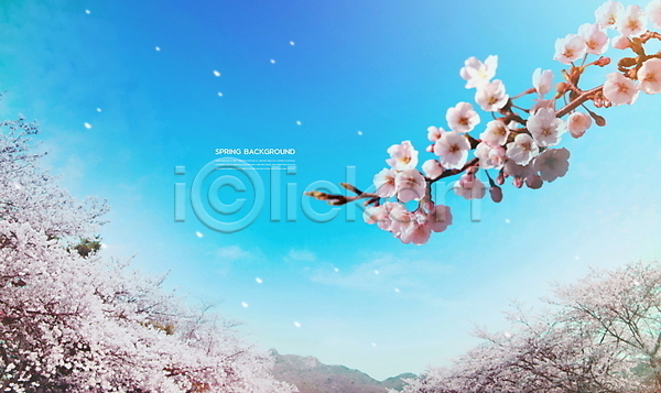 사람없음 PSD 편집이미지 구름(자연) 꽃잎 맑음 벚꽃 벚나무 봄 봄배경 봄풍경 산 자연 파란색 하늘