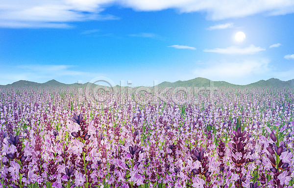 사람없음 PSD 일러스트 구름(자연) 꽃밭 라벤더 맑음 백그라운드 산 자연 태양 풍경(경치) 하늘