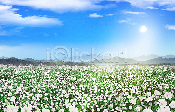 사람없음 PSD 일러스트 구름(자연) 꽃밭 맑음 백그라운드 산 안개꽃 자연 태양 풍경(경치) 하늘