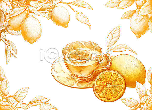 사람없음 PSD 일러스트 노란색 단면 드로잉 레몬 레몬차 보테니컬아트 슬라이스 잎 찻잔 컵받침