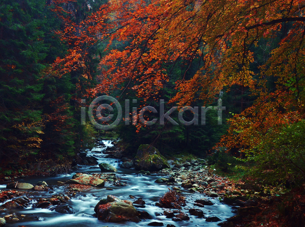 사람없음 JPG 포토 해외이미지 가을(계절) 강 계곡 단풍 단풍나무 야외 주간 풍경(경치)