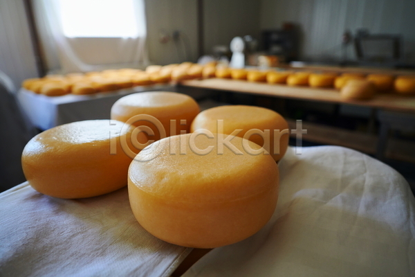 사람없음 JPG 아웃포커스 포토 해외이미지 공장 많음 유기농 제조 치즈