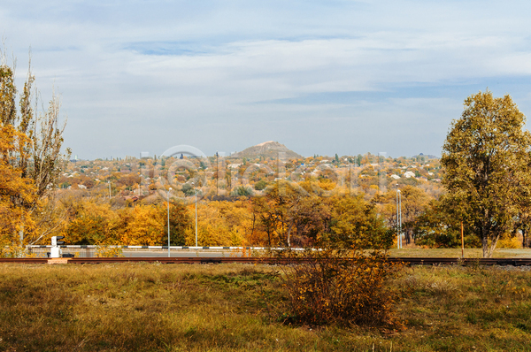 사람없음 JPG 포토 해외이미지 가을(계절) 공원 네덜란드 도로 숲 야외 유럽 주간 풍경(경치)